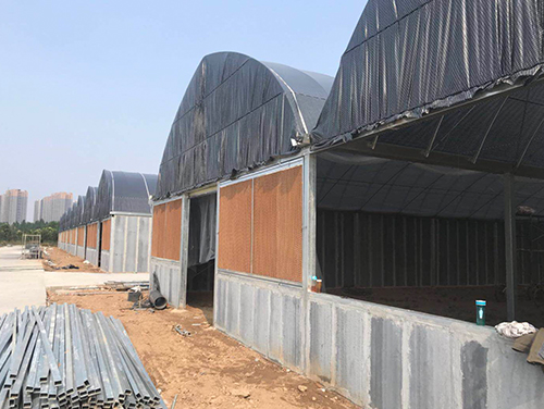 ��������·�����г�