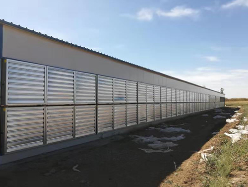 �½�ʯ���ӿ�