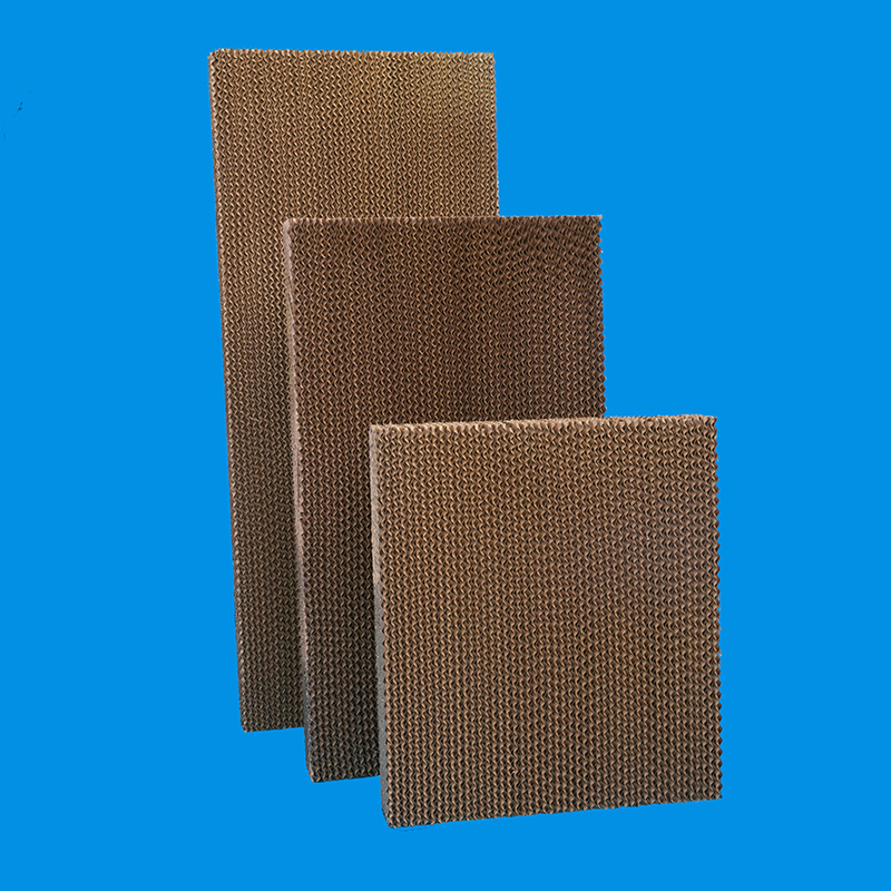 ����ʪ��ǽ