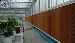 ����쵽�ˣ���Щʪ����ʹ��ע������Ҫ����