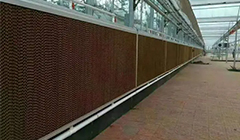 ��ˮ��ǽ����ɶ�������ô���ʲô����ʲô���������ƣ�