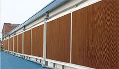 ����ˮ������ȱ��