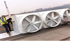 ������������ַ����բ����������Щ