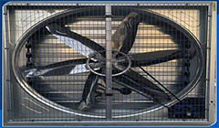 �ش����������������