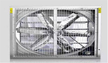 ��ν�����ή�£�������