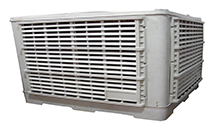 ����ʪ����������